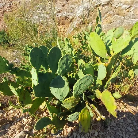 Maris, Self Check In