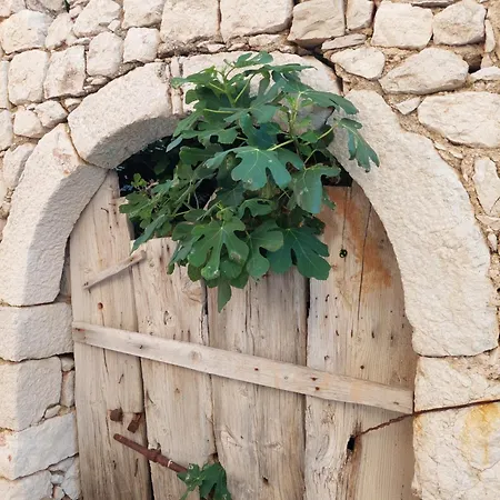 Maris, Self Check In Διαμέρισμα